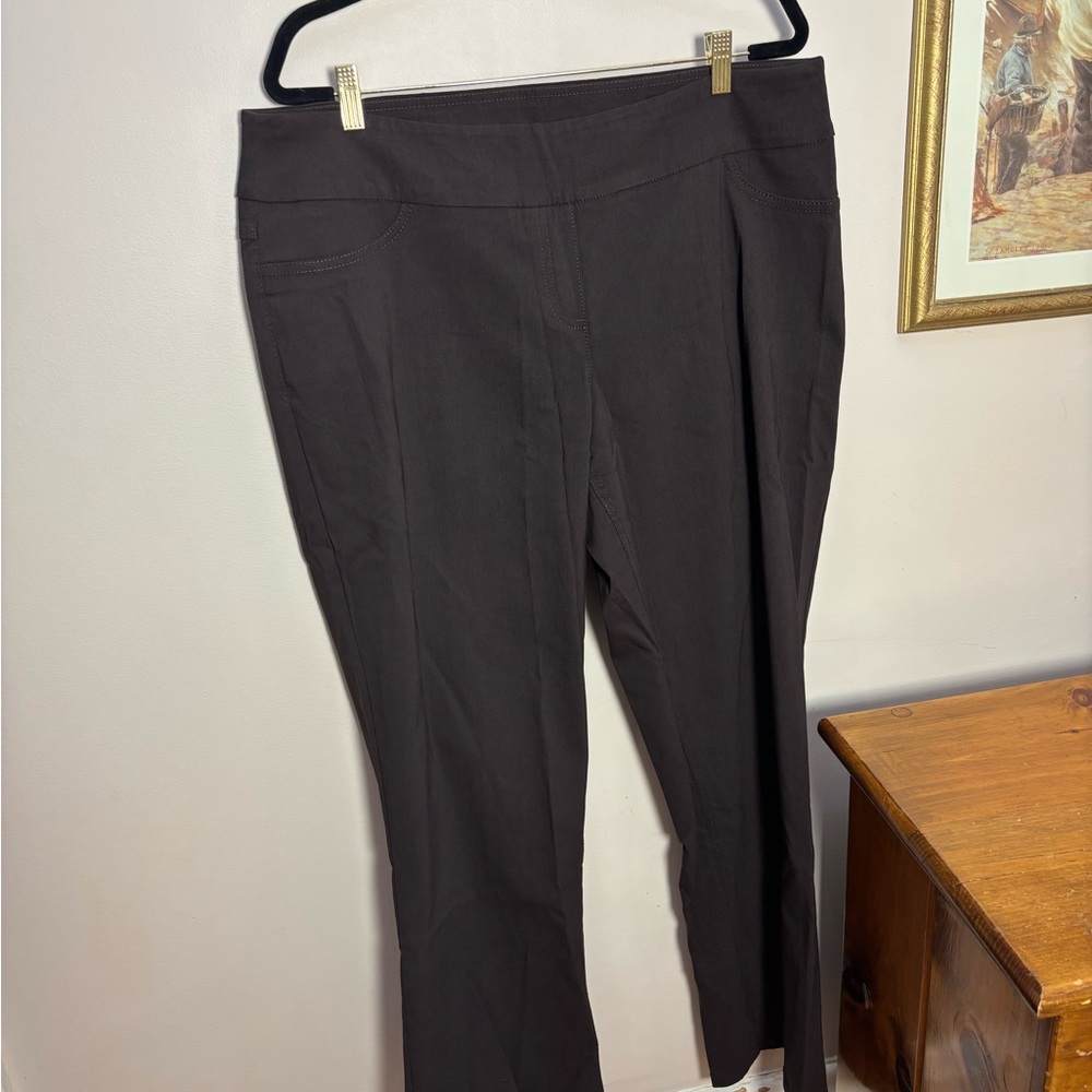 Westbound Women's Dark Brown Straight Leg Pants